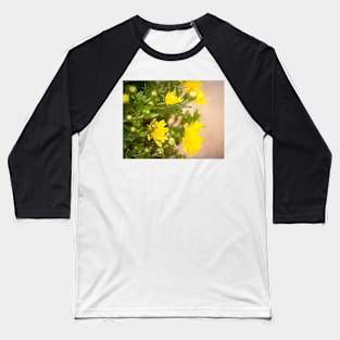 Yellow Painted Mums by Debra Martz Baseball T-Shirt